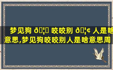 梦见狗 🦋 咬咬别 🦢 人是啥意思,梦见狗咬咬别人是啥意思周公解梦